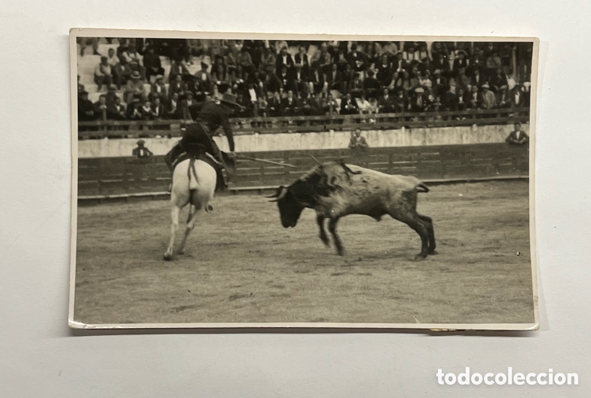 Fotograf&iacute;a antigua: TOROS. Tauromaquia.. Plaza de Toros Valencia.. Picador en la suerte de banderillas&hellip; (a.1934)