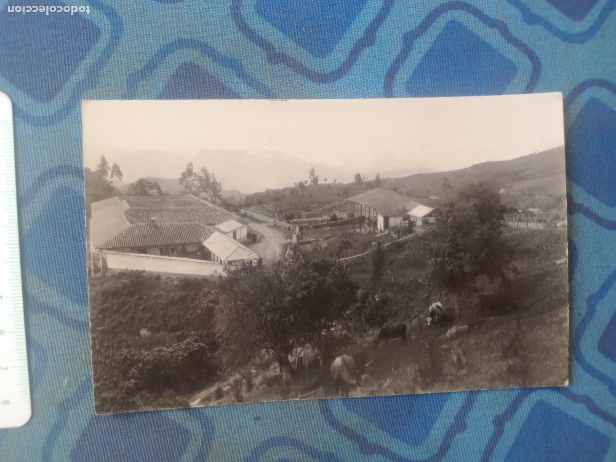 Antique Photography: Postal fotogr&aacute;fica. Pa&iacute;s Vasco