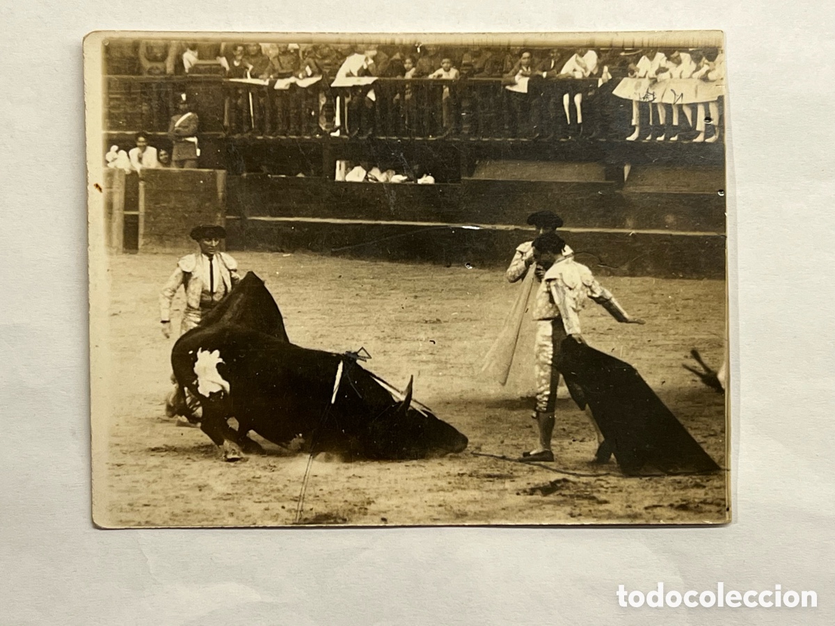 Alte Fotografie: GUERRILLERO.. Torero.. Fotograf&iacute;a en la Plaza. La muerte del Toro.. (h.1930?)
