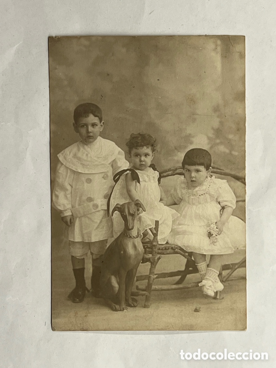 Fotografia antiga: NI&Ntilde;OS.. Fotograf&iacute;as Peque&ntilde;os con su Mascota en el estudio del fot&oacute;grafo.. (h.1910?)