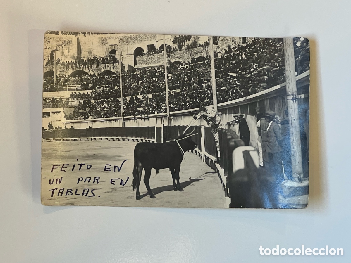 Fotograf&iacute;a antigua: TAUROMAQUIA Toros. Fotograf&iacute;a Feito en un par de tablas Charlot&rsquo;s Feito Charlotadas. NIMES (h.1920?)