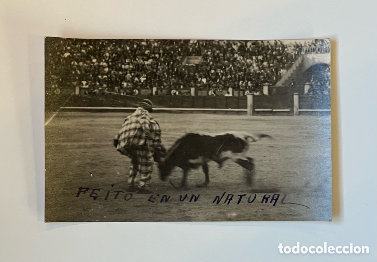 Fotograf&iacute;a antigua: TAUROMAQUIA Toros. Fotograf&iacute;a Charlot&rsquo;s Feito.. Feito en un natural. Charlotadas Madrid (h.1920?)
