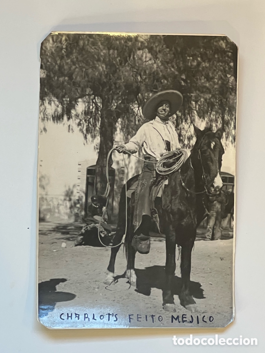 Fotograf&iacute;a antigua: TAUROMAQUIA Toros. JUAN FEITO. Recuerdos de mi estancia en M&eacute;xico (a.1935)