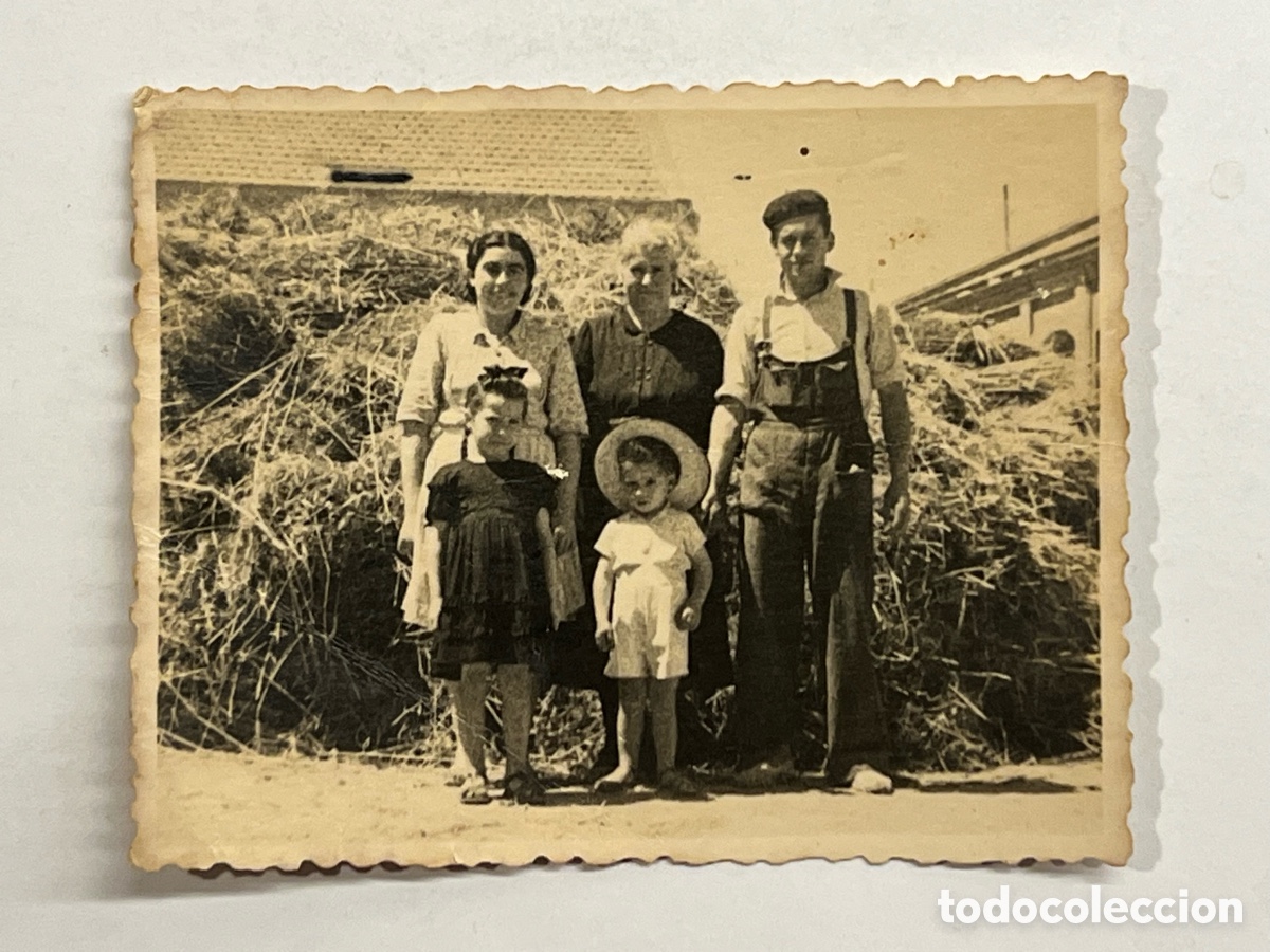 Fotografia antiga: BURRIANA Borriana (Castell&oacute;) Fotograf&iacute;a Minuters.. Temps de la sega.. (h.1950?) Med&iacute;das: 7 x 8,5 cm
