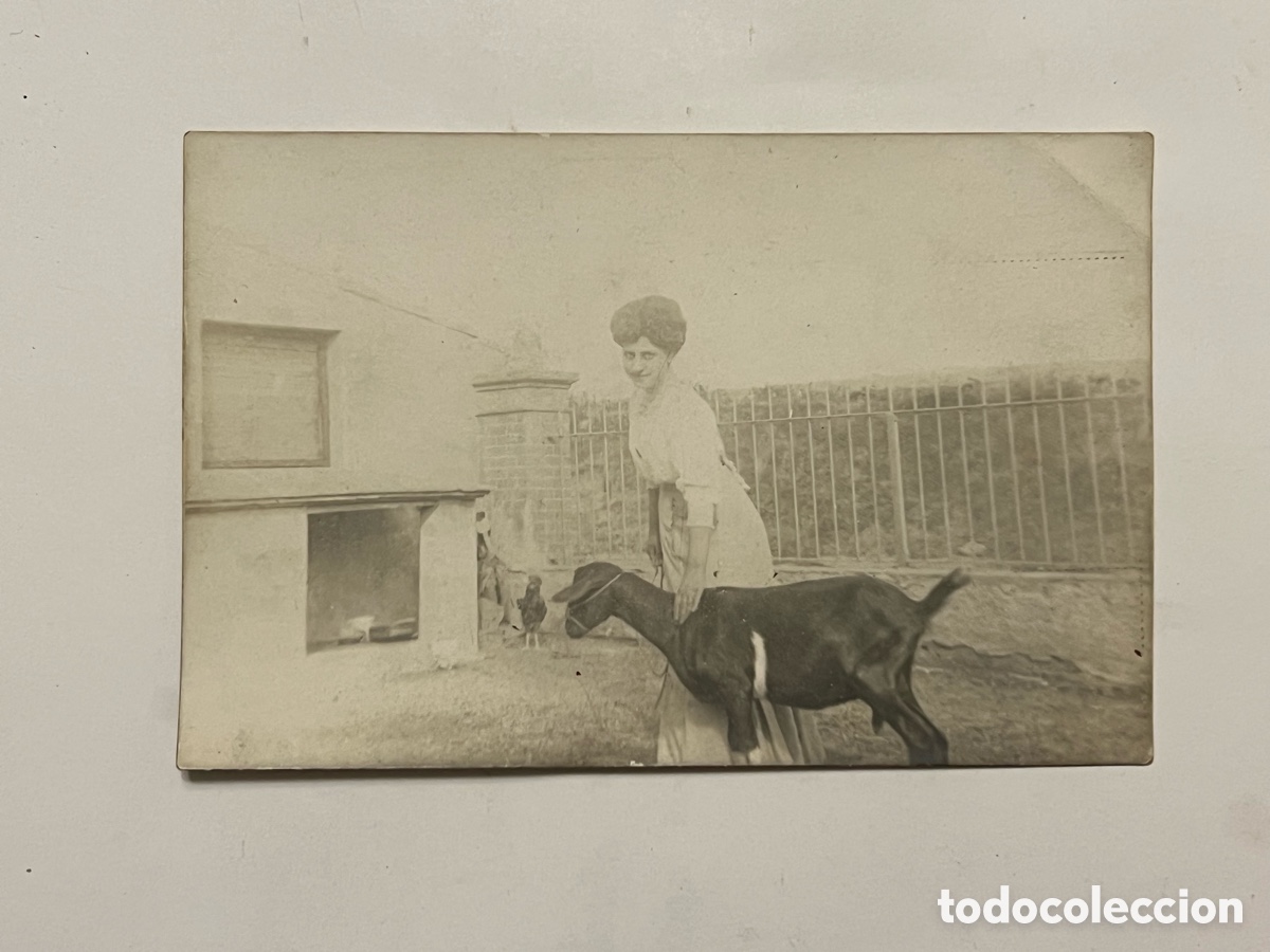 Photographie ancienne: EN el Campo con la Cabra y las gallinas.. Fotograf&iacute;a antigua (h.1920?) Med&iacute;das: 14 x 9 cm