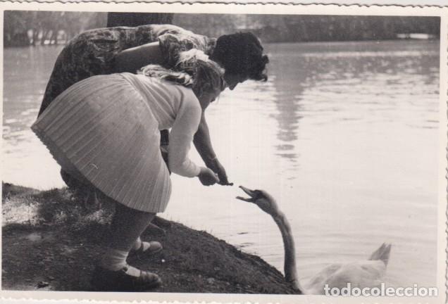 Fotograf&iacute;a antigua: Fotograf&iacute;a (17,5x11,5 cm) Escrito al dorso: Puigcerd&agrave;. Llac (lago) 1961