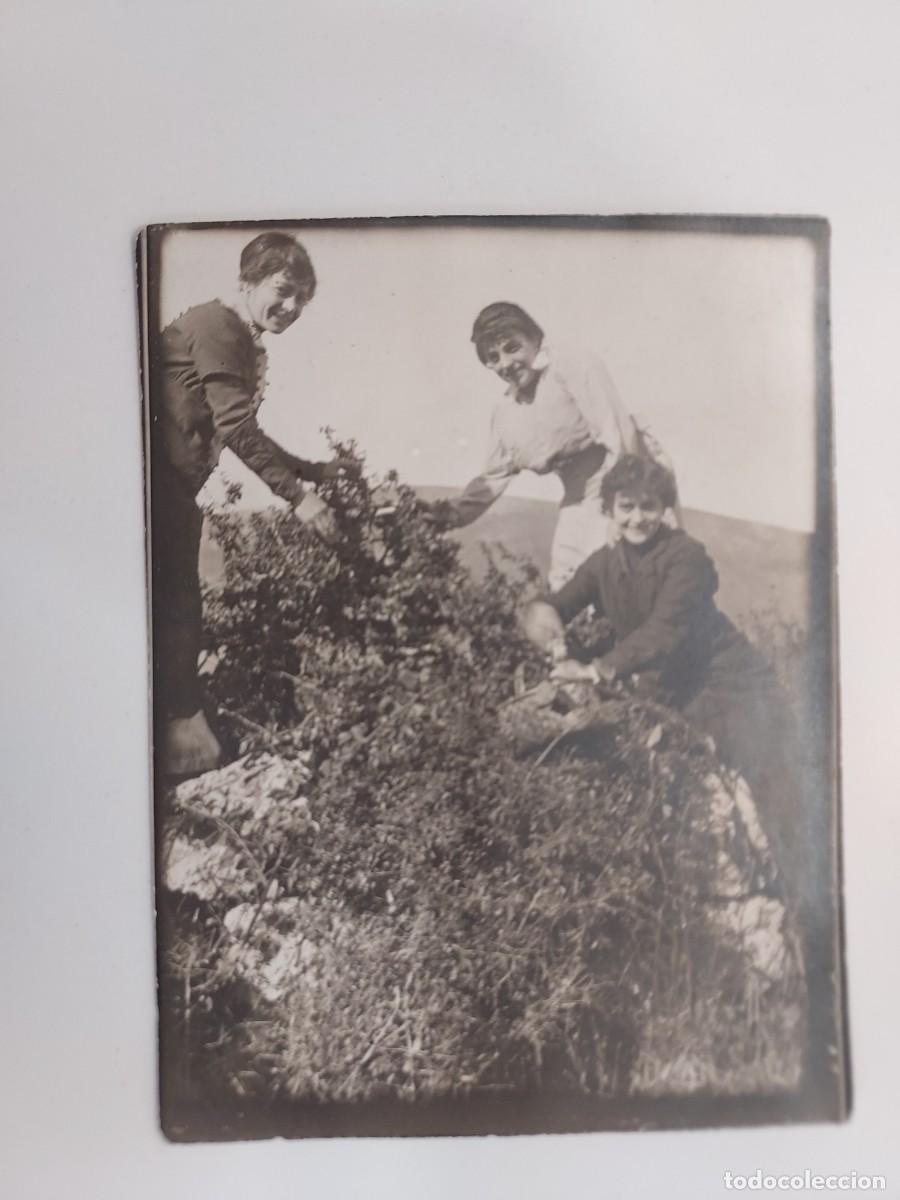 Fotograf&iacute;a antigua: FOTOGRAFIA ANTIGUA RETRATO 3 MUJERES EN EL CAMPO RECOGIENDO MORAS?. CA. 1920-1930. 8 X 12 CM