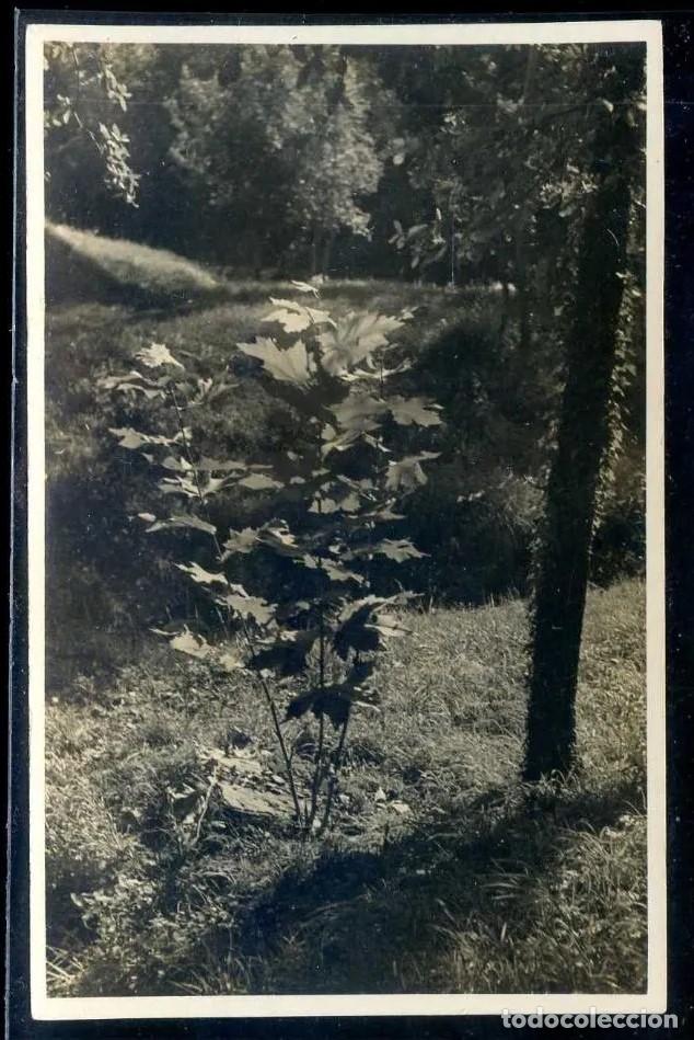Photographie ancienne: Foto *Archivo Cuy&aacute;s - Barcelona* Nueva.