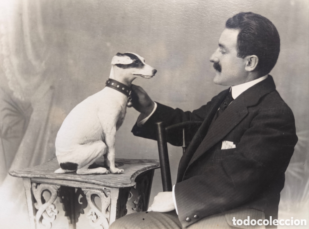 Fotograf&iacute;a antigua: FOTOGRAF&Iacute;A RETRATO ESTUDIO CABALLERO CON PERRO POSTAL FOTOGR&Aacute;FICA FOT&Oacute;GRAFO VIRGILI BARCELONA 1915