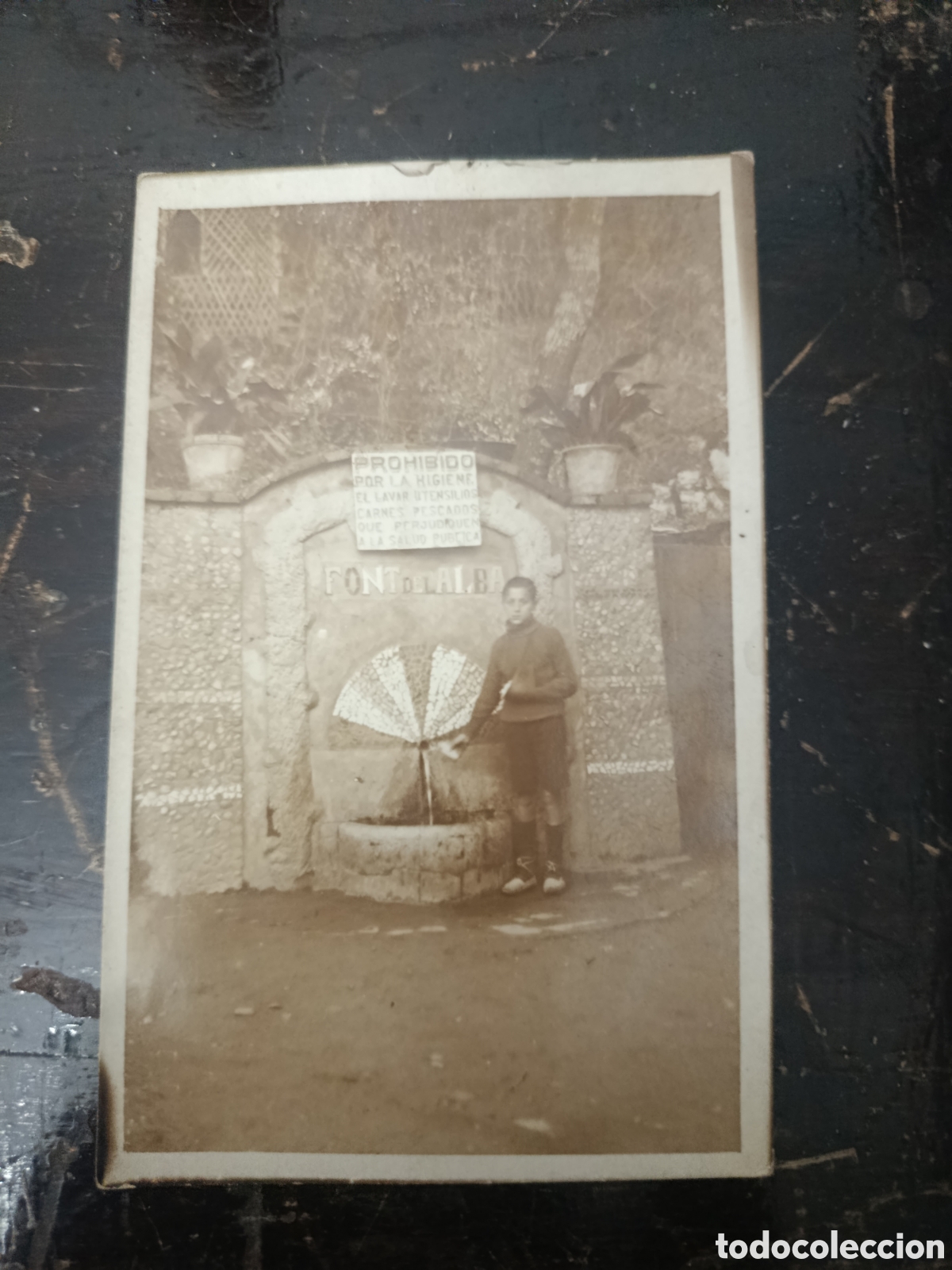 Fotograf&iacute;a antigua: Fotograf&iacute;a tarjeta postal ni&ntilde;o posando en font del alba , les planes Sant Cugat del Vall&eacute;s