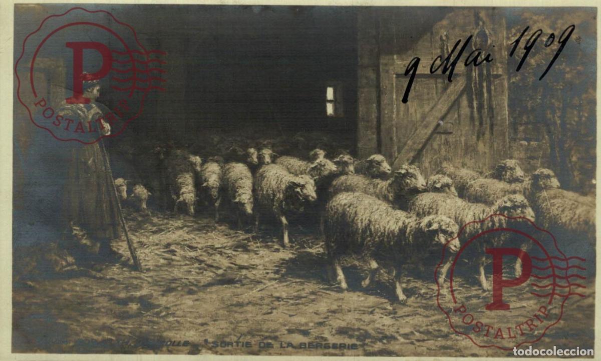 Fotograf&iacute;a antigua: FRANCIA. FRANCE. RPPC. SORTIE DE LA BERGERIE. MOUTON. OVEJARS. PASTORA