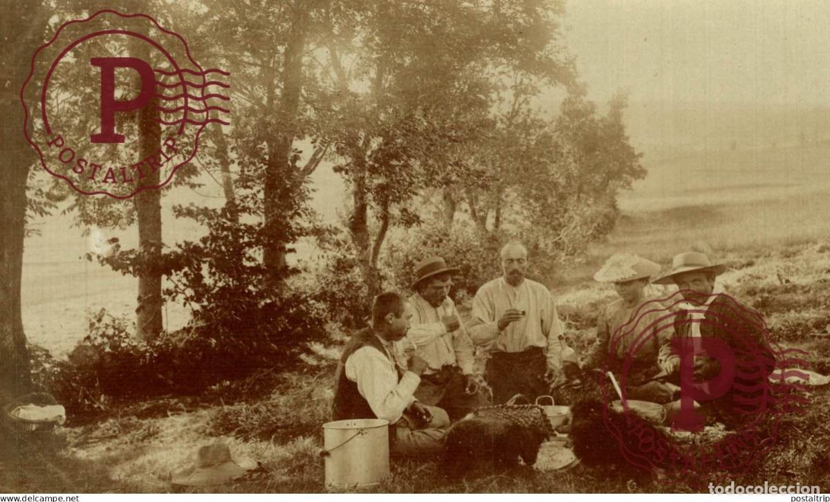 Fotograf&iacute;a antigua: RPPC. FOTOPOSTAL. PICNIC