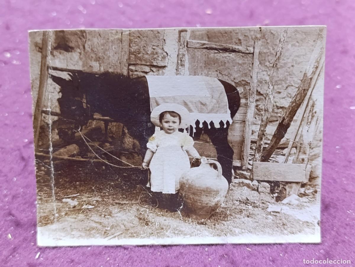 Fotograf&iacute;a antigua: Antigua Fotograf&iacute;a b/n, Ni&ntilde;a posando con burro y tinaja, costumbrista