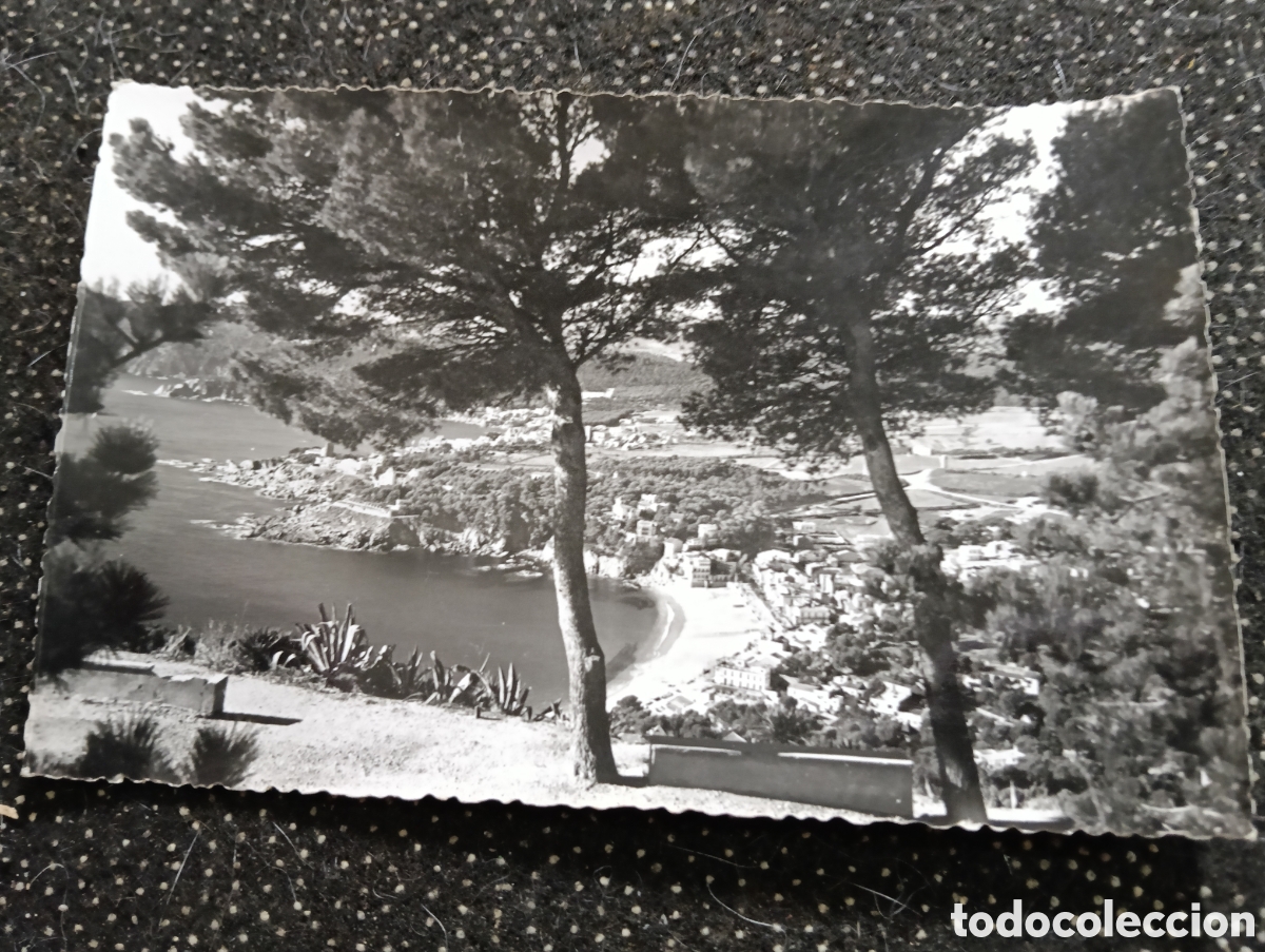 Fotograf&iacute;a antigua: Postal de la Costa Brava Palafrugell, Calella - Panor&aacute;mica Llanfranch
