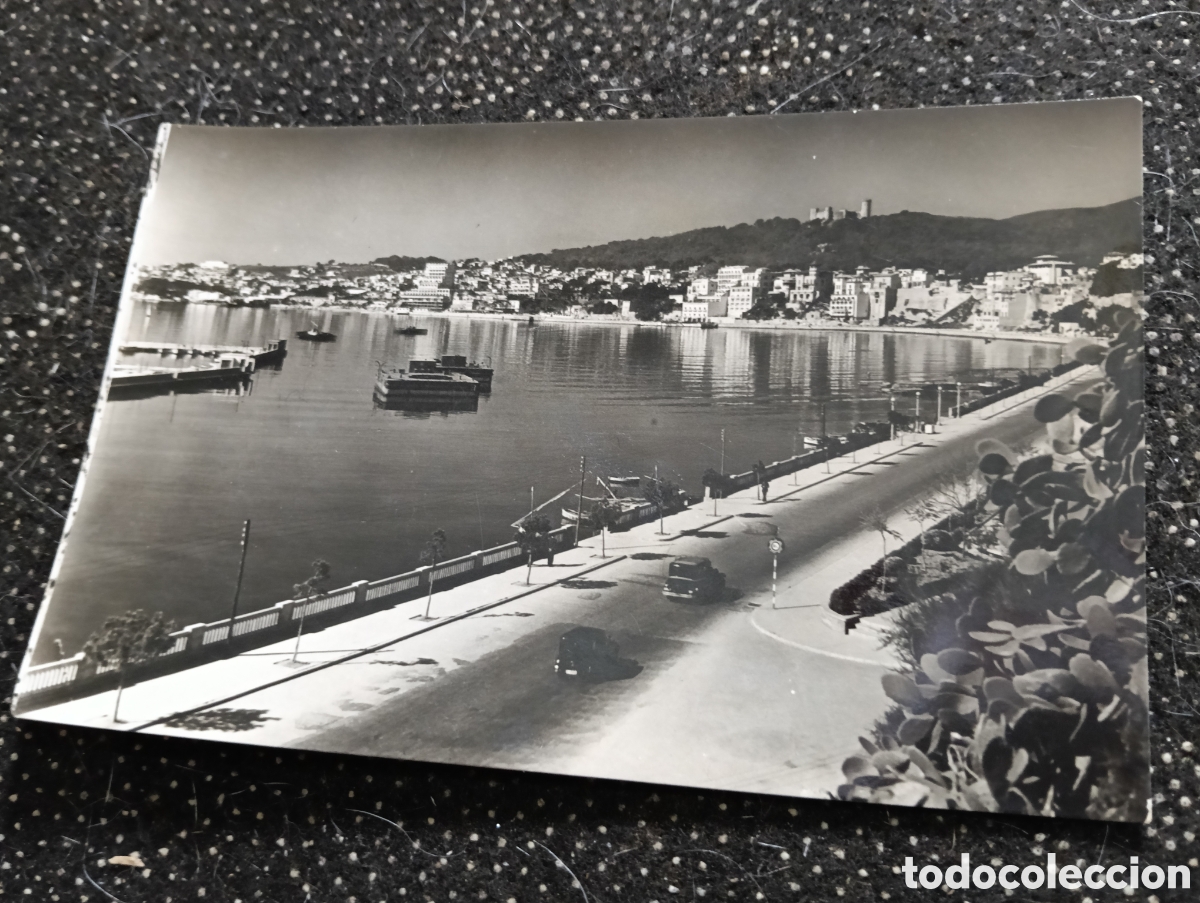 Fotograf&iacute;a antigua: Postal de 1955 de Mallorca Paseo Mar&iacute;timo, n&deg; 19, Foto Truyol
