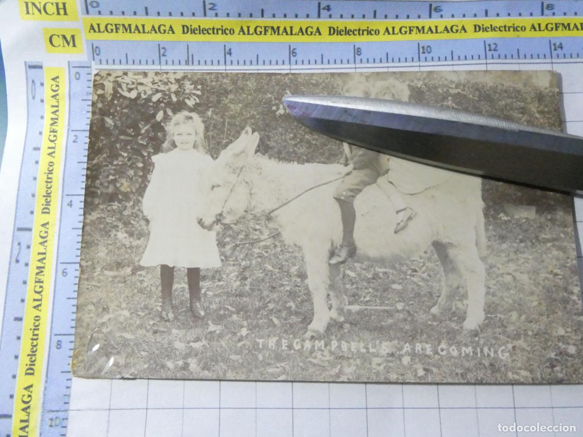 Fotograf&iacute;a antigua: FOTO FOTOGRAF&Iacute;A POSTAL. A&Ntilde;O 1905 APROX. ESCOCIA IRLANDA NORTE. NI&Ntilde;OS Y BURRITO. 2858