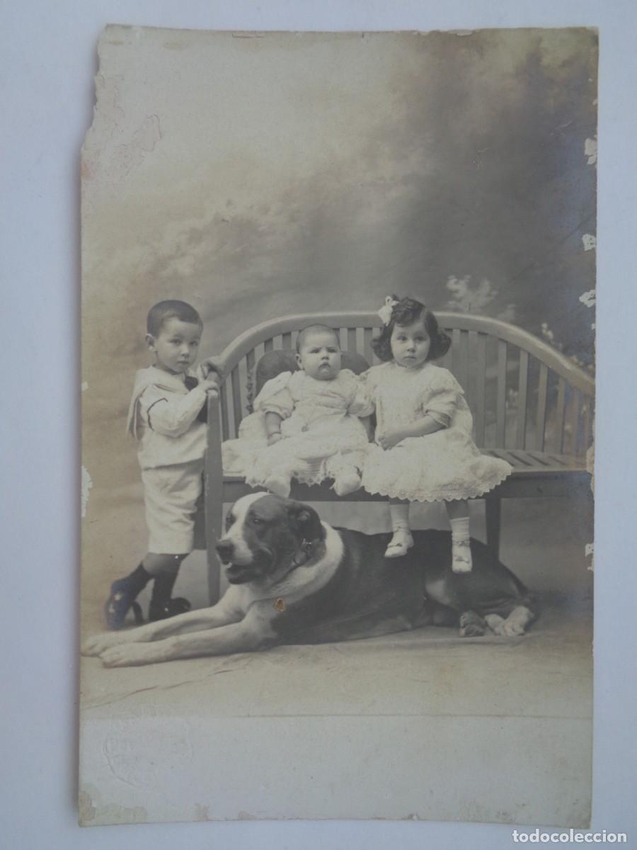 Fotograf&iacute;a antigua: PRECIOSA FOTO DE ESTUDIO DE NI&Ntilde;OS CON UN GRAN PERRO SAN BERNARDO, PP. SIGLO. DE MARIN&Eacute;, BARCELONA