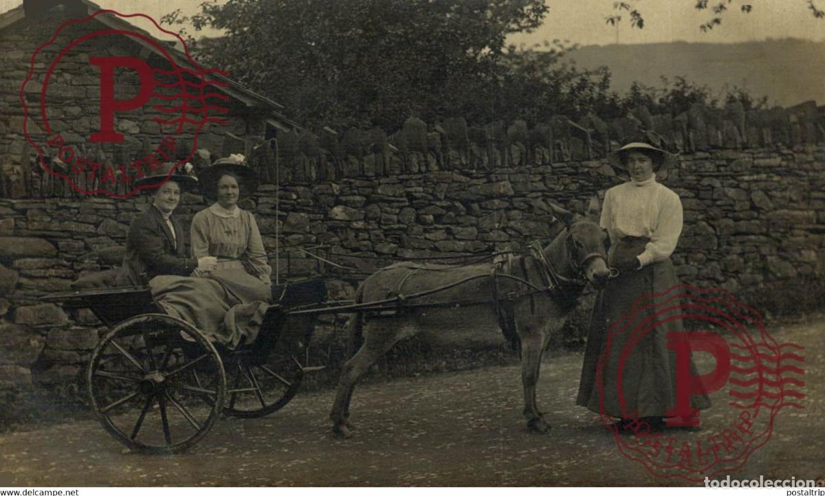 Fotograf&iacute;a antigua: RPPC TRANSPORT TRANSPORTE BURROS DONKEYS &Acirc;NES ANIMALES ANIMALS LEX ANIMAUX