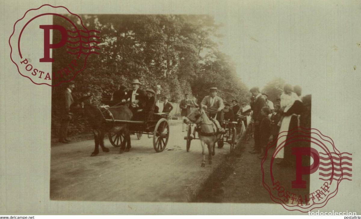 Fotograf&iacute;a antigua: RPPC TRANSPORT TRANSPORTE BURROS DONKEYS &Acirc;NES ANIMALES ANIMALS LEX ANIMAUX