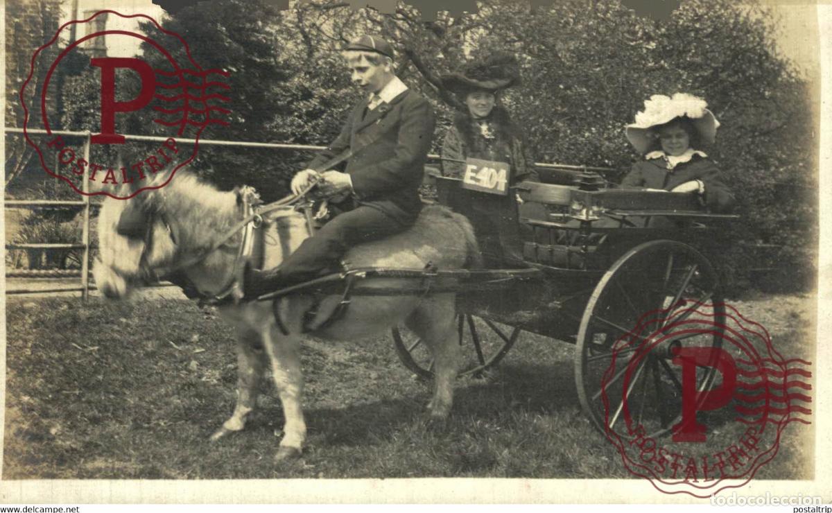 Fotograf&iacute;a antigua: RPPC TRANSPORT TRANSPORTE BURROS DONKEYS &Acirc;NES ANIMALES ANIMALS LEX ANIMAUX
