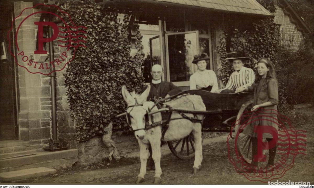 Fotograf&iacute;a antigua: RPPC TRANSPORT TRANSPORTE BURROS DONKEYS &Acirc;NES ANIMALES ANIMALS LEX ANIMAUX