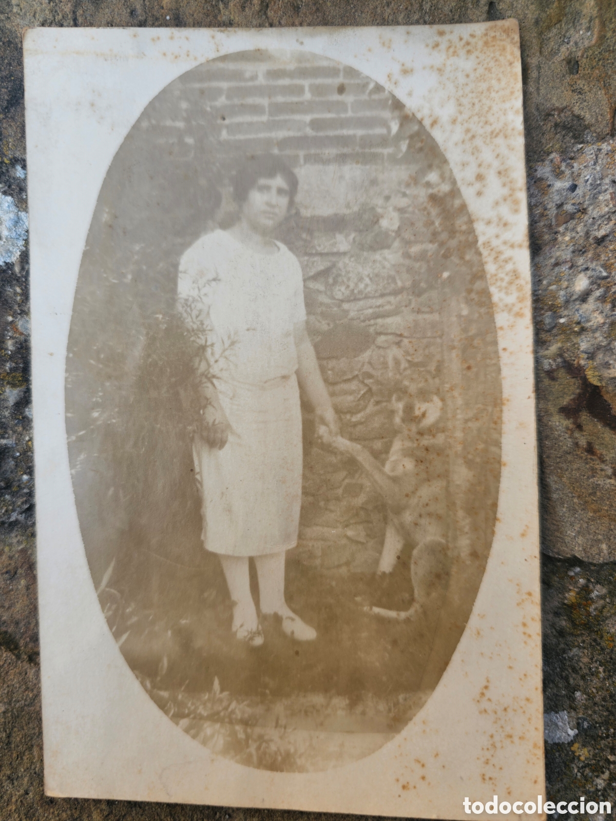 Fotograf&iacute;a antigua: Fotograf&iacute;a antigua &eacute;poca a&ntilde;os 20 - Mujer con perro en retrato ovalado - Tarjeta Postal no circulada