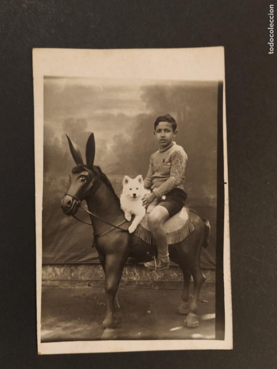 Fotograf&iacute;a antigua: ALBERT CANTARELL - A&Ntilde;O 1935 - PERRO Y CABALLO JUGUETE - POSTAL - FOTOGRAFIA ANTIGUA -(116.442)
