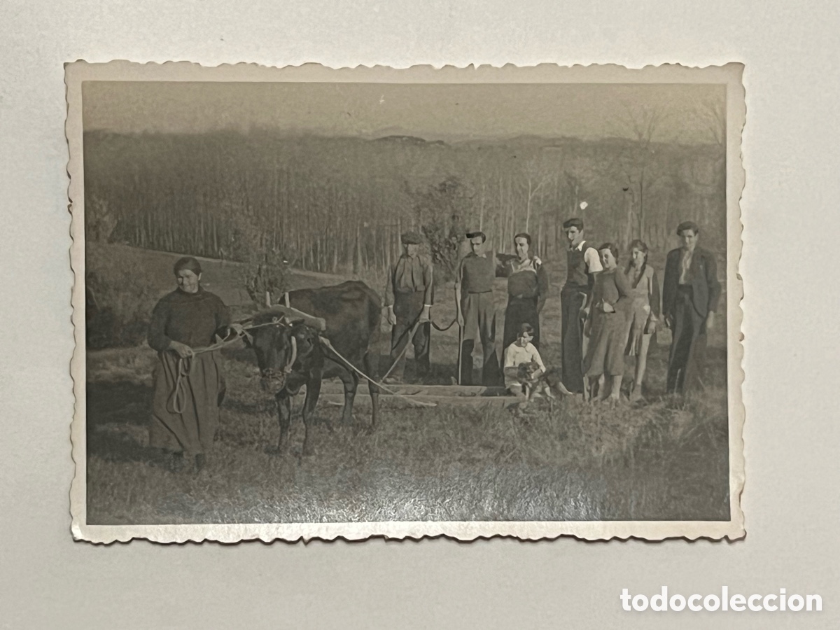 Fotograf&iacute;a antigua: RIPOLL (Girona) Minuteros.. de visita a los abuelos. Yunta y Buey&hellip; tareas agr&iacute;colas (h.1930?)