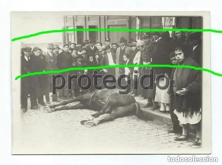 Fotograf&iacute;a antigua: EL &Eacute;QUIDO MUERTO. SUCESO Y LUGAR POR IDENTIFICAR. SELLO H&Uacute;MEDO ILEGIBLE. FOT&Oacute;GRAFO POR IDENTIFICAR.