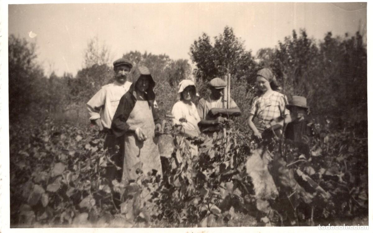 Fotograf&iacute;a antigua: Antigua tarjeta fotogr&aacute;fica de una familia de campesinos trabajando en su campo c.1930