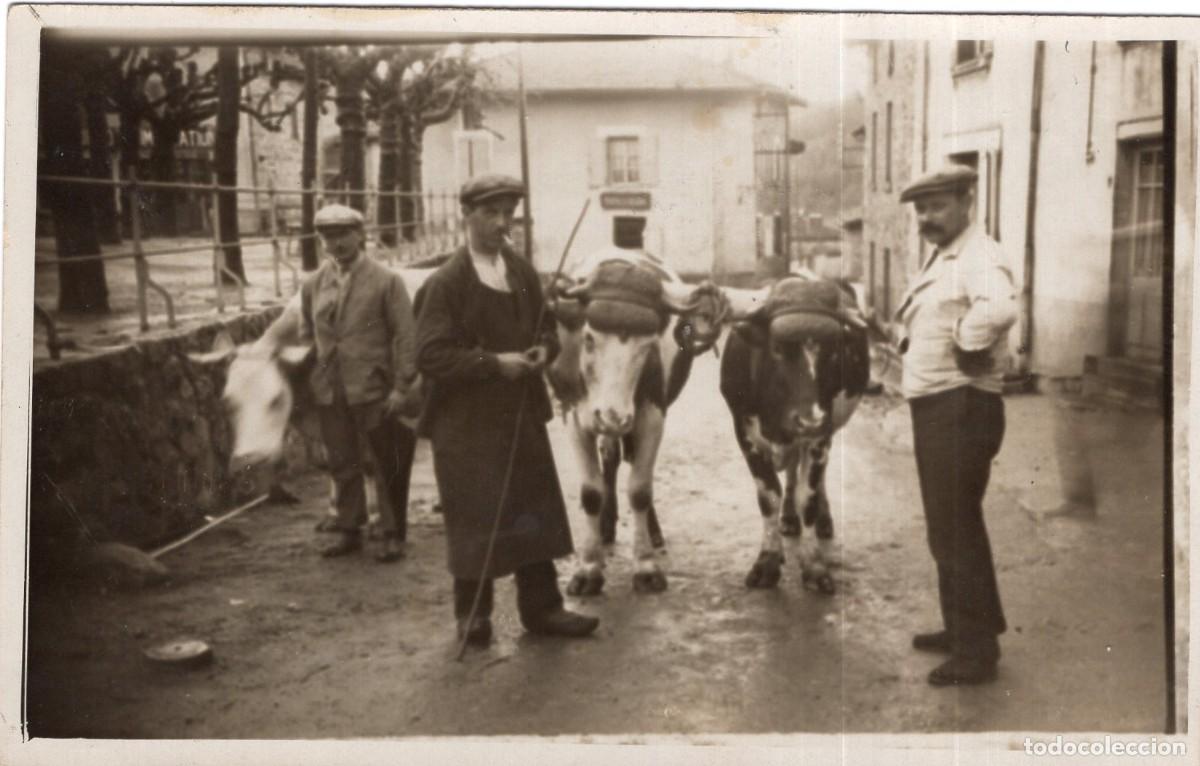 Fotograf&iacute;a antigua: Tarjeta fotogr&aacute;fica tres campesinos con bueyes en un pueblo c.1930, testimonio rural de anta&ntilde;o
