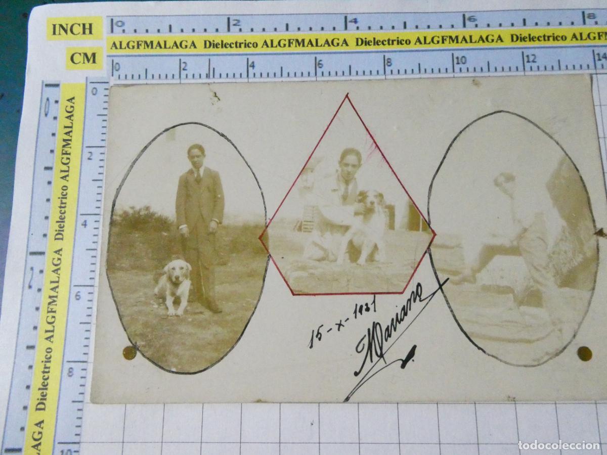 Fotograf&iacute;a antigua: FOTO TARJETA POSTAL A&Ntilde;O 1921. JOVEN CON PERRO. REVERSO NO DIVIDIDO. 4767