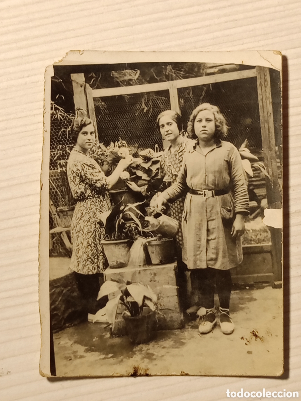 Fotografia antiga: Antigua fotograf&iacute;a mujeres regando las plantas 9x6,50cm b/n