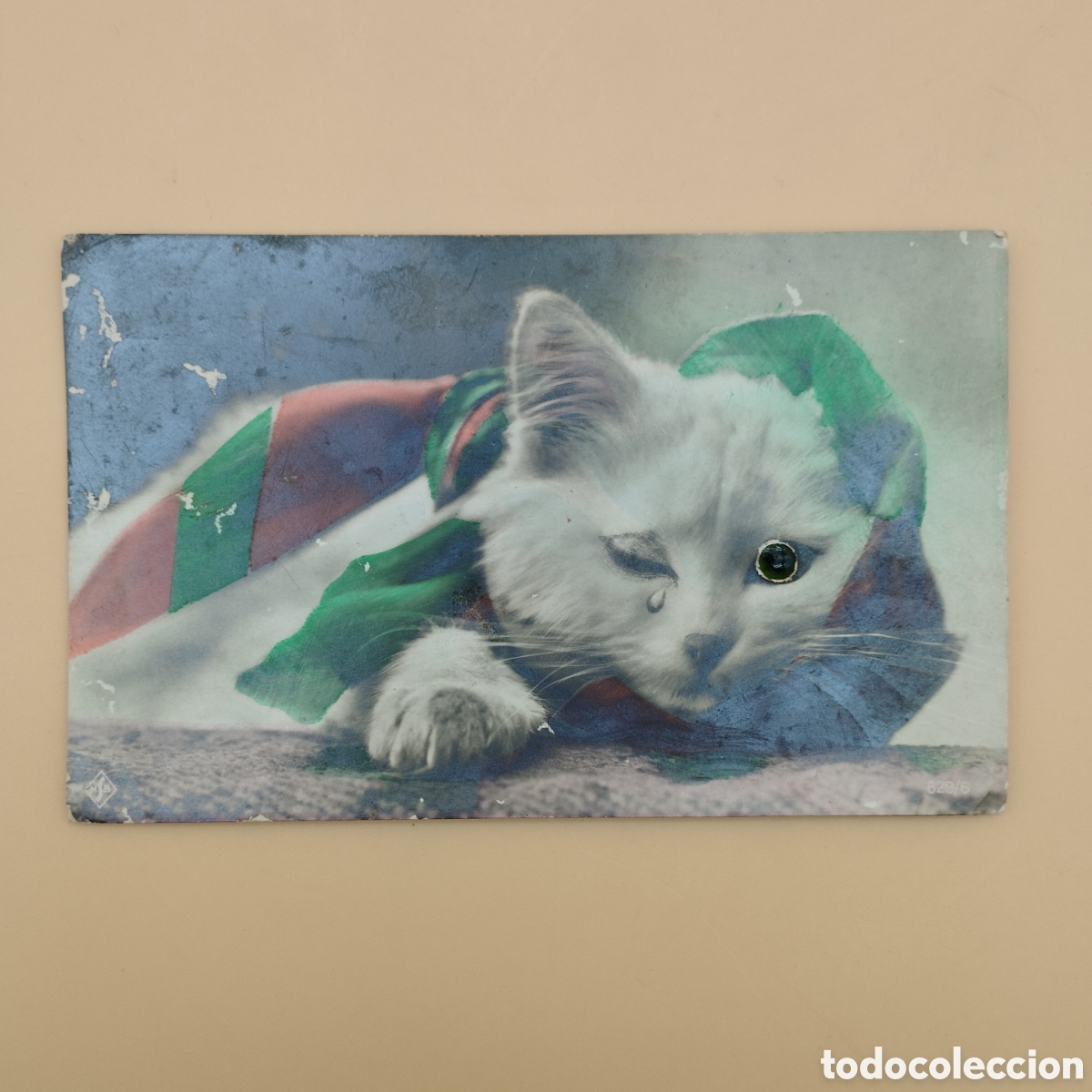 Fotograf&iacute;a antigua: Tarjeta postal fotograf&iacute;a coloreada (c. 1915-1925) Gato ojo de cristal y gui&ntilde;o MSB Gelatinobromuro