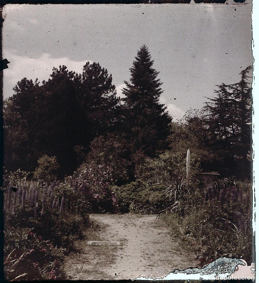 Fotograf&iacute;a antigua: AUTOCROMO DE CRISTAL 6 X 9 cm.