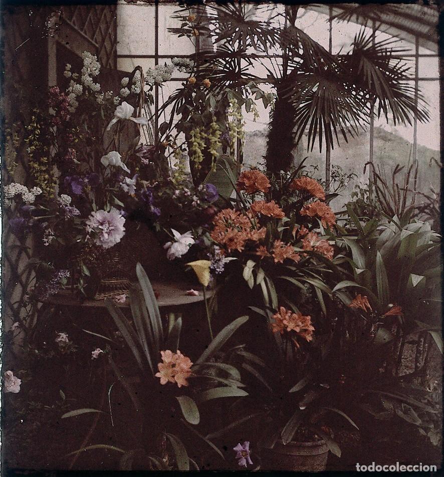 Fotograf&iacute;a antigua: AUTOCROMO DE CRISTAL 6 X 9 cm.