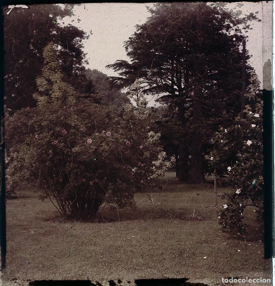 Fotograf&iacute;a antigua: AUTOCROMO DE CRISTAL 6 X 9 cm.