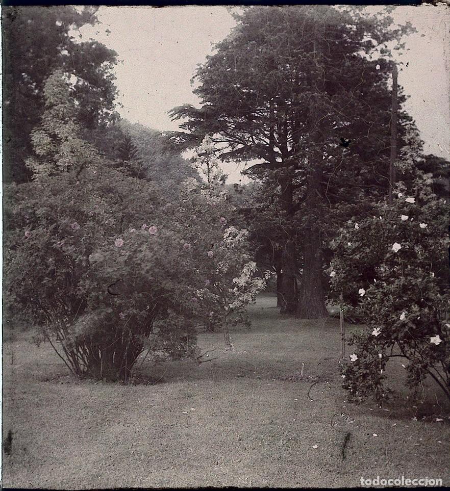 Fotograf&iacute;a antigua: AUTOCROMO DE CRISTAL 6 X 9 cm.