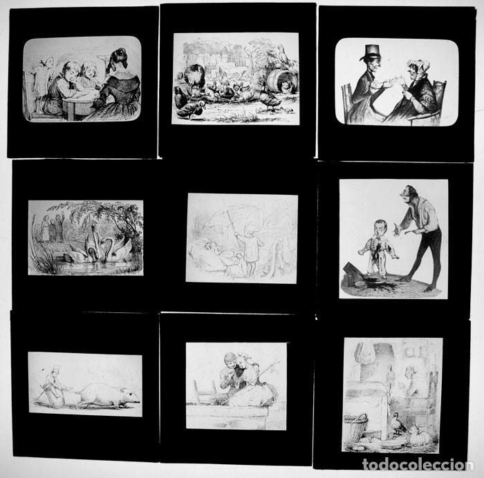 Fotograf&iacute;a antigua: 9 Placas de cristal positivas - linterna m&aacute;gica - c 1900