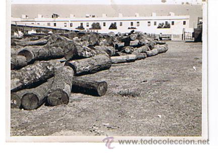 Fotograf&iacute;a antigua: Fotograf&iacute;a (7,5x10)  (?) - Foto 1