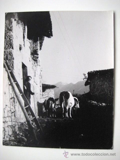 Fotografia antiga: FOTOGRAFIA ARCHIVO FOTOGRAFICO O CONCURSO.A&Ntilde;OS 70 ENVIO GRATIS&iexcl;&iexcl;&iexcl;