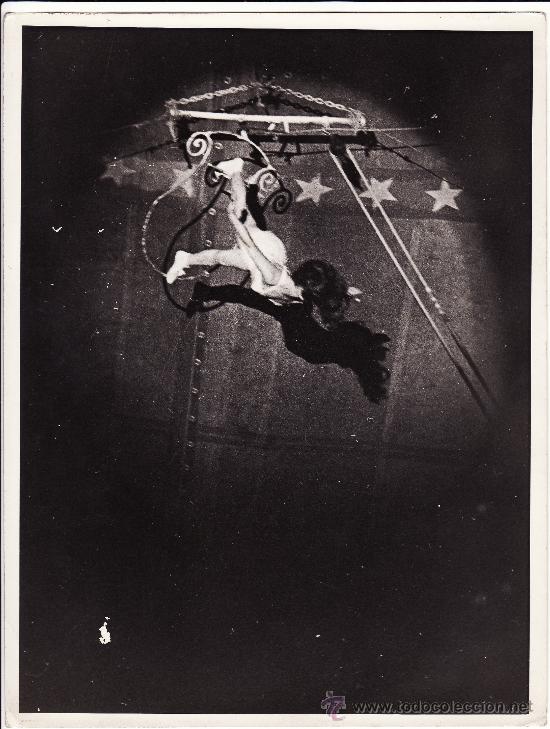 Fotograf&iacute;a antigua: CIRCO - TRAPECISTA - LAS PALMAS - Foto 1