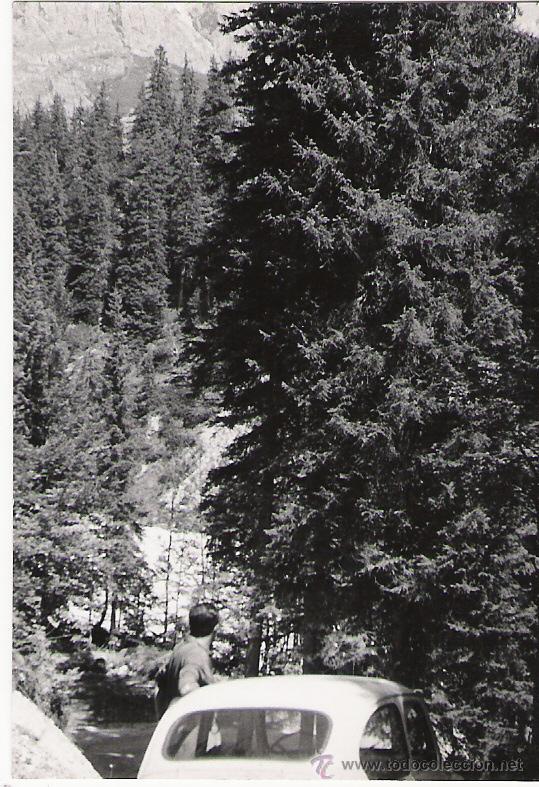 Fotograf&iacute;a antigua: MUCHO ARBOL Y POCO COCHE - 10 X 7 CMS. - Foto 1