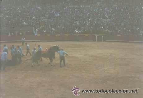 Fotografia antica: *** CC348 - FOTOGRAFIA - CORRIDA DE TOROS