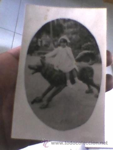 Antique Photography: foto postal fotografica ni&ntilde;a sobre perro o lobo estatua escrita Cartagena 1935
