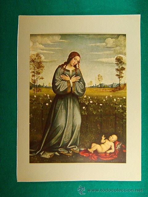 Fotograf&iacute;a antigua: LA MADONNA DE LA ROSALEDA-FRANCESCO RAIBOLINI EL FRANCIA-PINACOTECA ANTIGUA MUNICH-31X23CM-3-42-1935