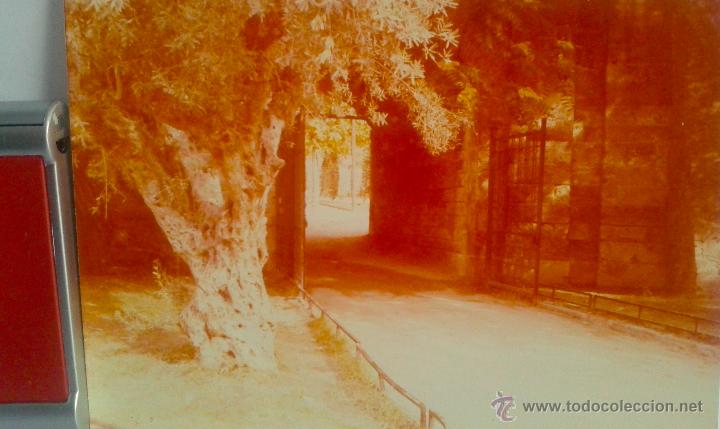 Antique Photography: ANTIGUA FOTO DE HOSPITALET DE LLOBREGAT-1- DE MEDIDAS 13X9 CTMS