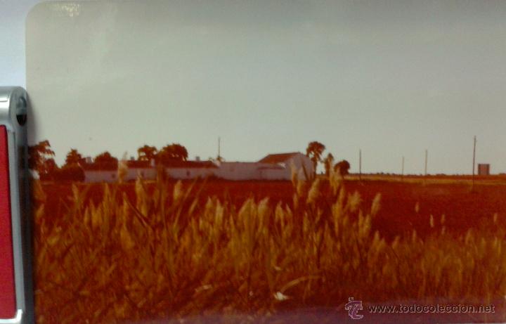 Fotograf&iacute;a antigua: ANTIGUA FOTO DE LA MANCHA-1- DE MEDIDAS 13X9 CTMS
