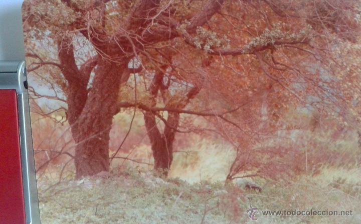 Fotograf&iacute;a antigua: ANTIGUA FOTO DE AGUALLANA-1- DE MEDIDAS 13X9 CTMS