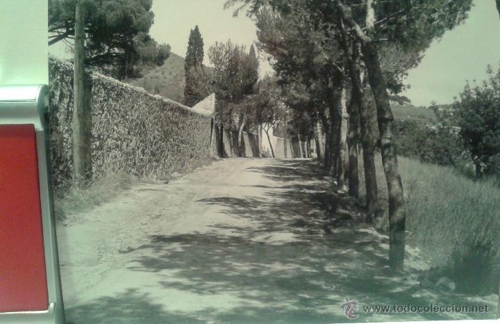 Fotografia antica: ANTIGUA FOTO DE ALELLA-1- DE MEDIDAS 13X9 CTMS